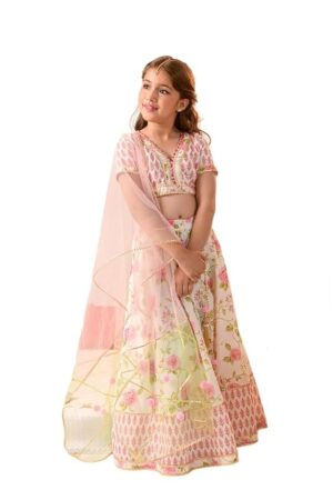 Lehenga Cholis