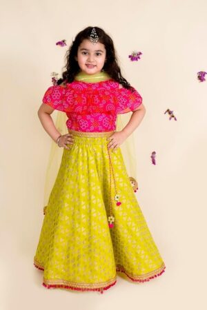 Lehenga Cholis
