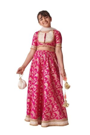 Lehenga Cholis