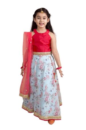 Lehenga Cholis