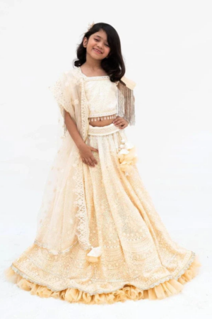 Beige Ombre Lehenga Set